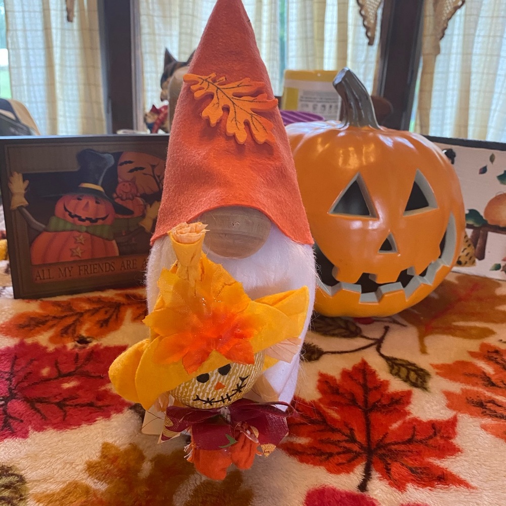 Gnome fall